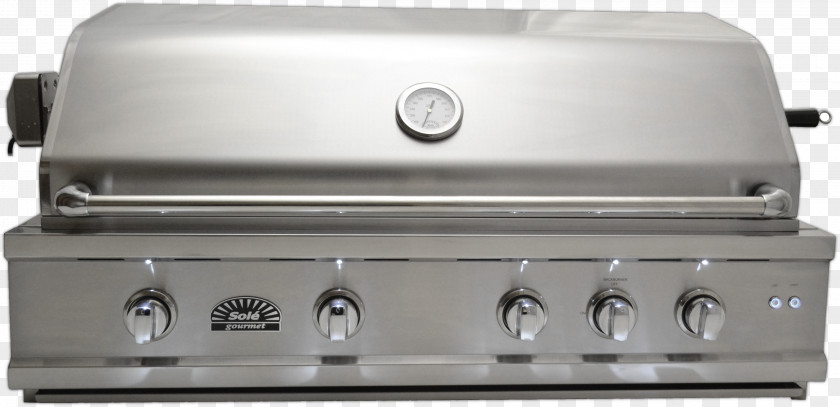 Barbecue Natural Gas Grilling Propane Steel PNG