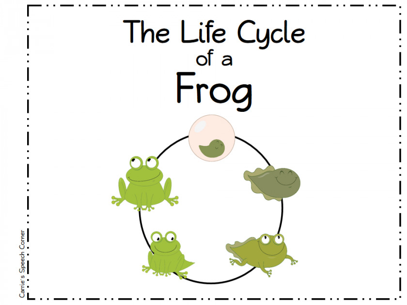 Frogs Images Frog Butterfly Biological Life Cycle Clip Art PNG