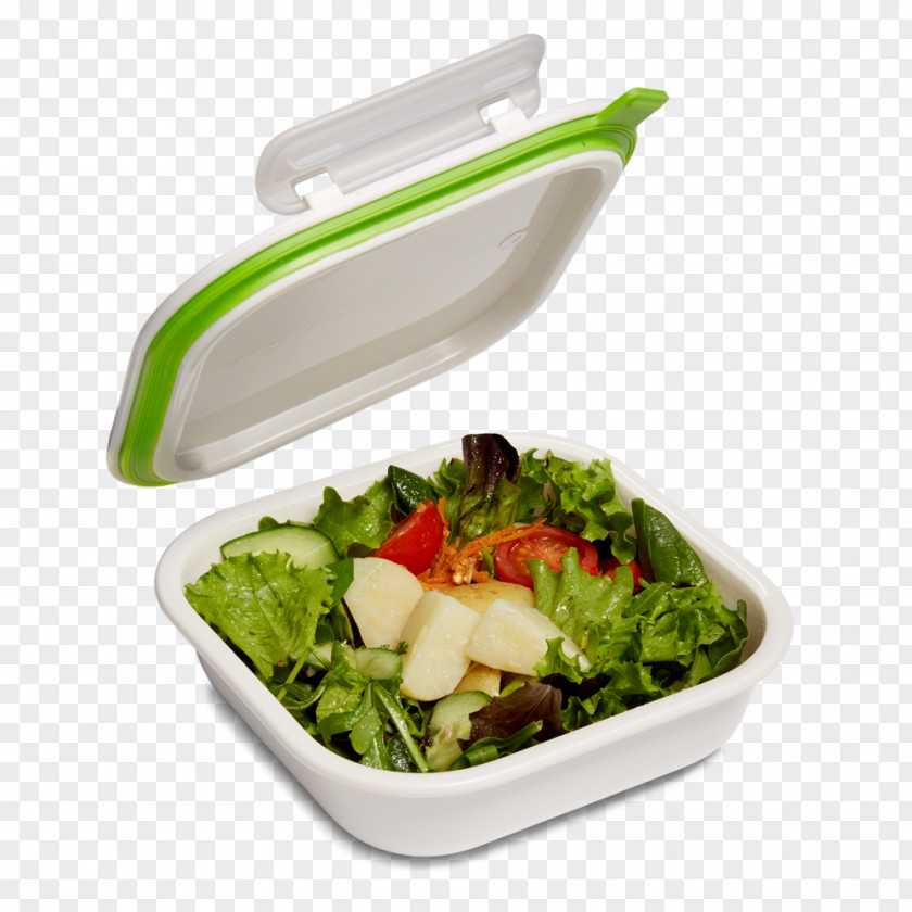 Lunch Bento Lunchbox Picnic Microwave Ovens PNG
