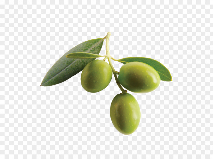 Olive Oil Tapenade Mediterranean Cuisine Food Bertolli PNG