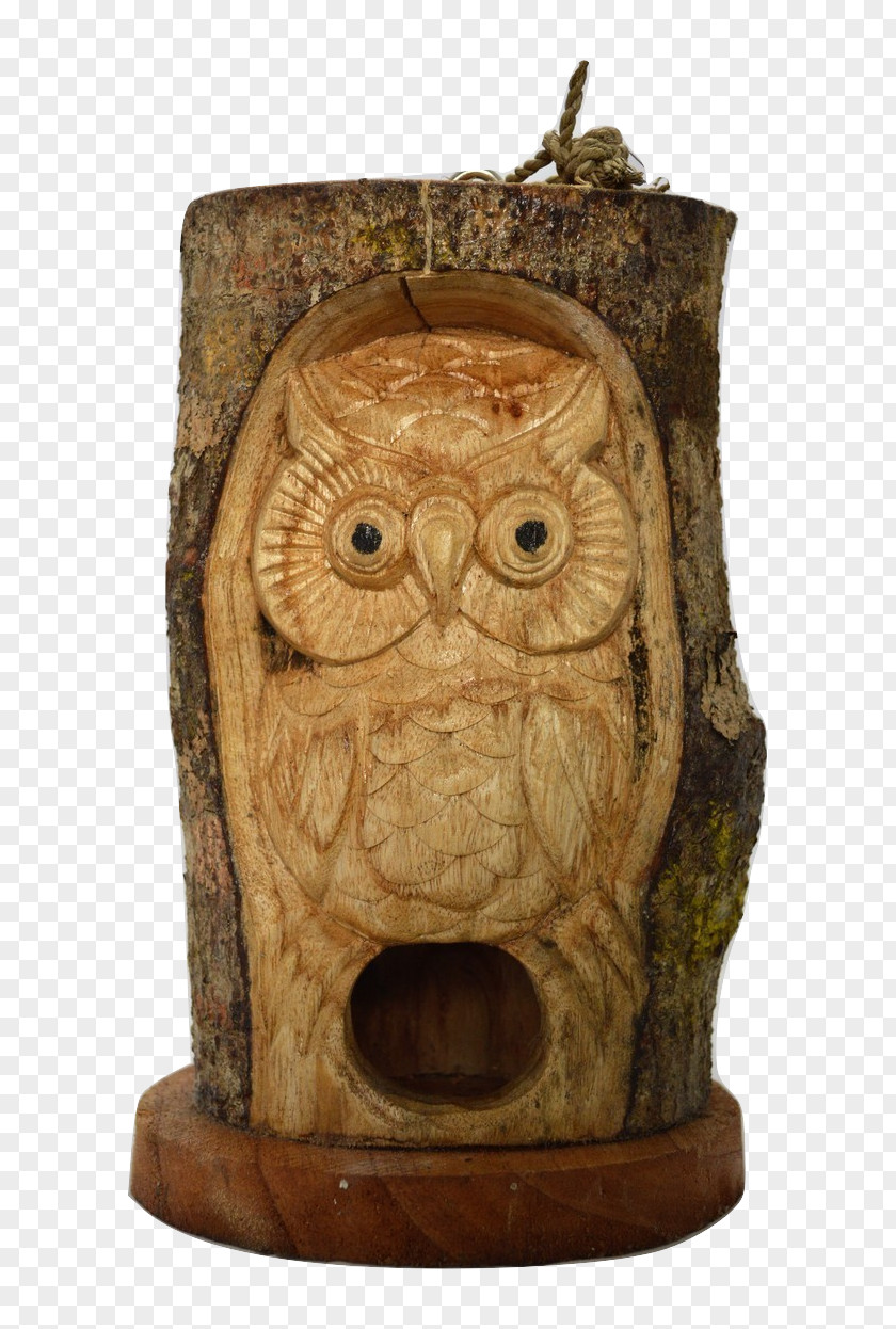 Bird Looking In Mirror Owl Wood Carving /m/083vt PNG