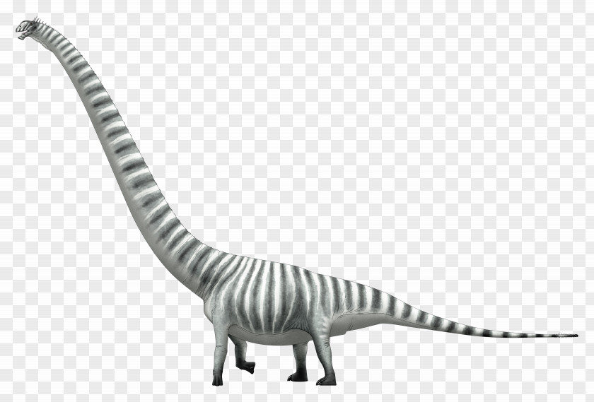 Dinosaur Mamenchisaurus Lusotitan Sauropoda Brachiosaurus PNG