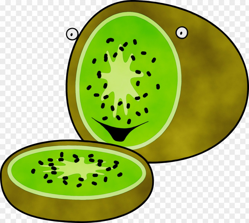 Green Kiwi Watercolor Background PNG