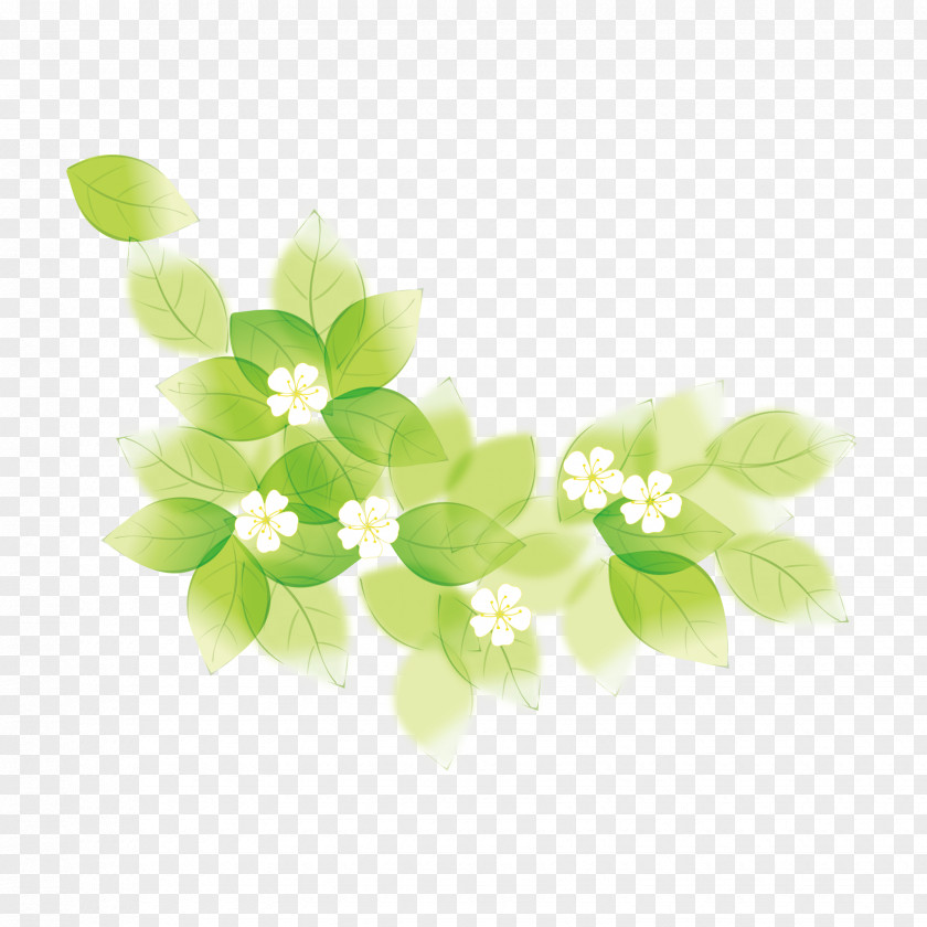 Image Vector Graphics Illustration PNG