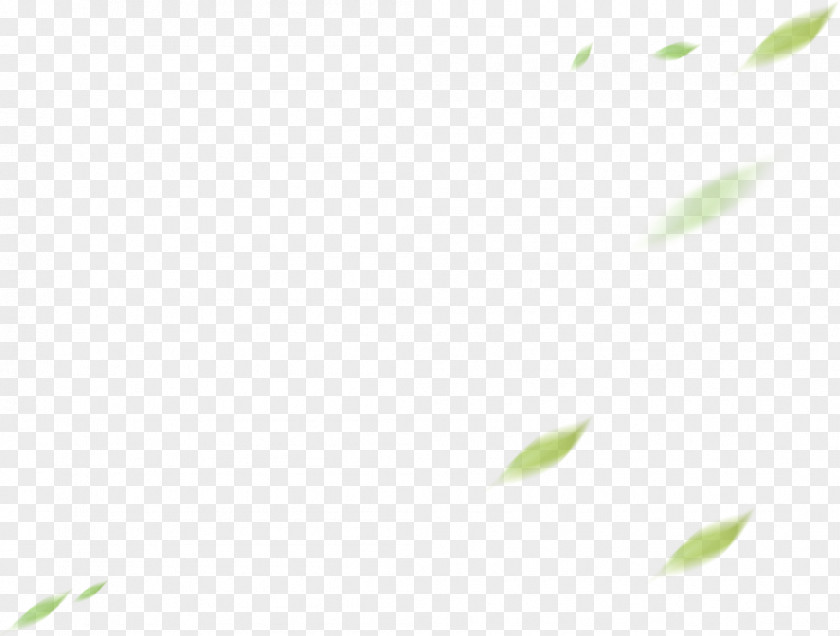 Langur Gris Plant Stem Leaf Desktop Wallpaper Font Computer PNG