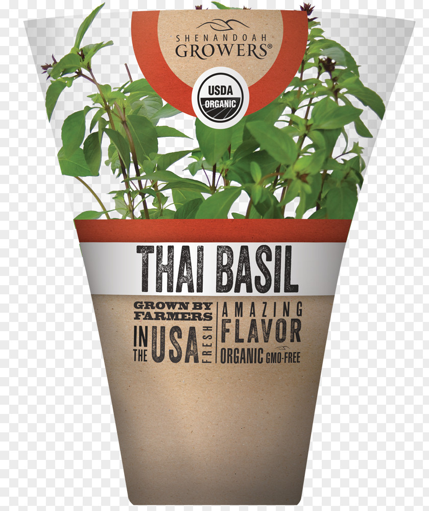 Thai Basil Herb Cuisine Organic Food PNG
