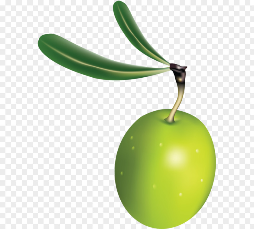 Green Olives Apple PNG