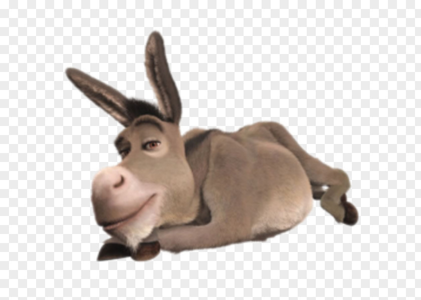 Donkey Princess Fiona Shrek The Musical Film Series PNG