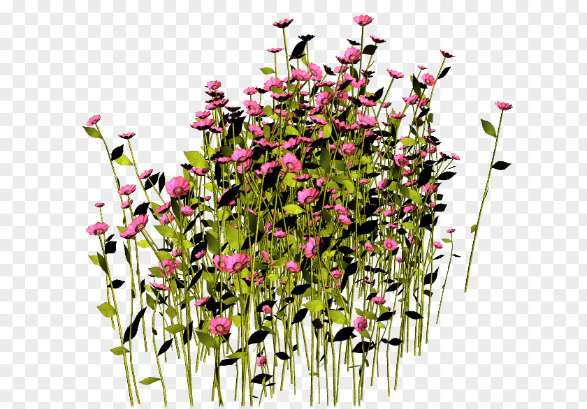 Flower Floral Design Flowerpot Plant Clip Art PNG