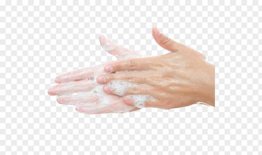 Hand Wash Hands Chemistry Hard Water Experiment Salt PNG