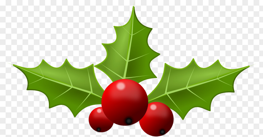 Holly Cliparts Common Christmas Free Content Clip Art PNG
