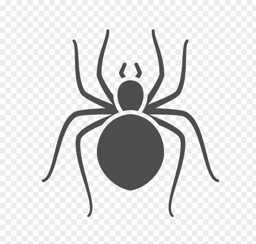Parasite Stencil Cartoon Spider PNG
