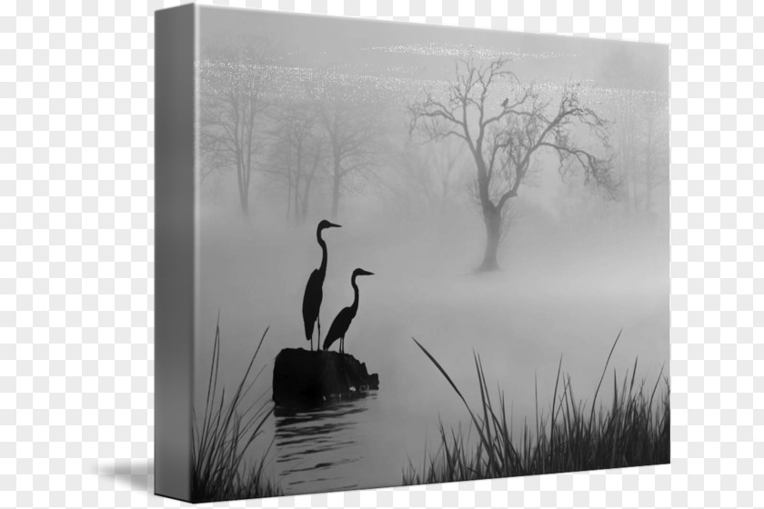 Recreation Amp Entertainment Canvas Print Art Printing PNG