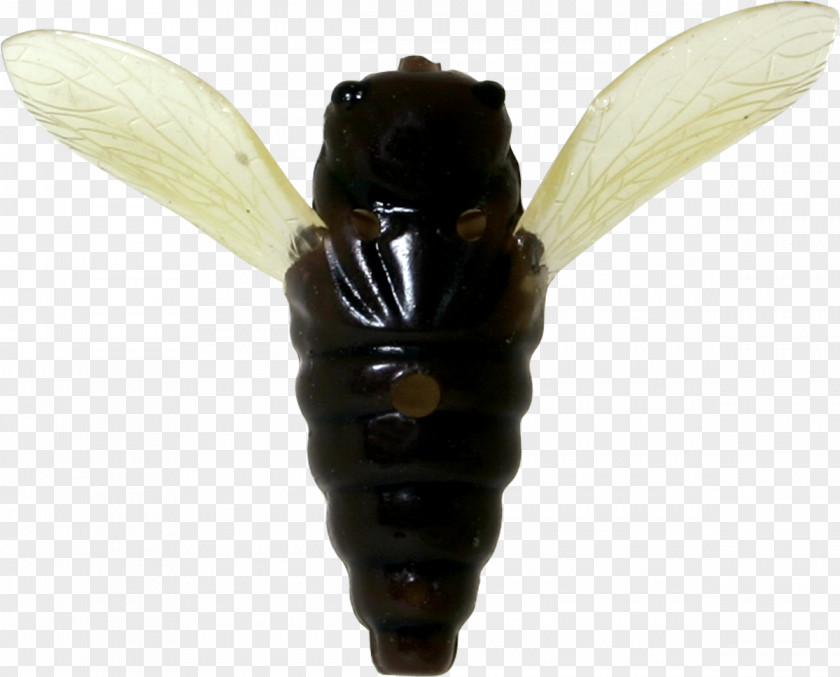 Bee Hornet PNG