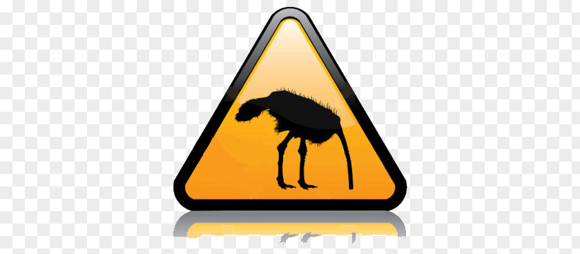 Common Ostrich Stock Photography Royalty-free Clip Art PNG