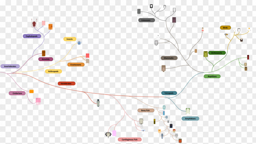 Evolution Tree Deeeep.io Phylogenetic Life Diagram PNG