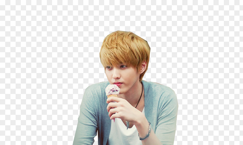 Kris EXODUS KCON Korean Idol PNG