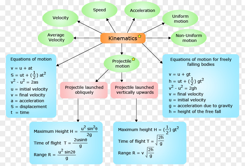 Line Diagram Organism PNG