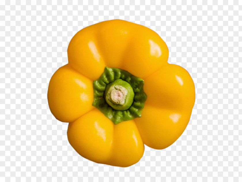 Peppers Transparency And Translucency Bell Pepper Habanero Yellow Image PNG