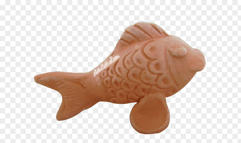 Pesce Fish PNG