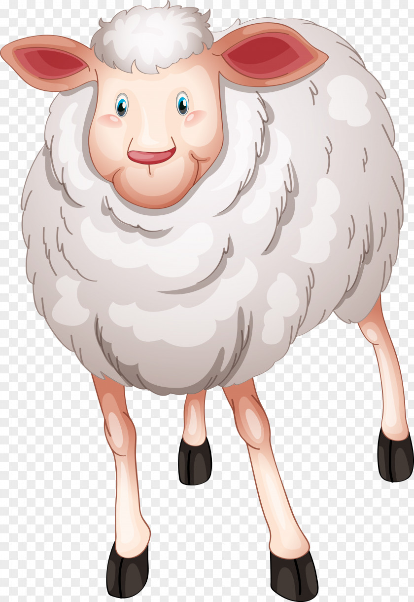 Sheep Drawing Clip Art PNG