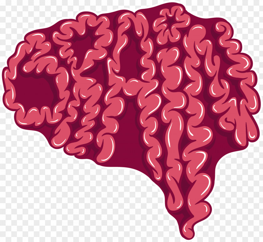 Vector Brain Human Cerebrum PNG