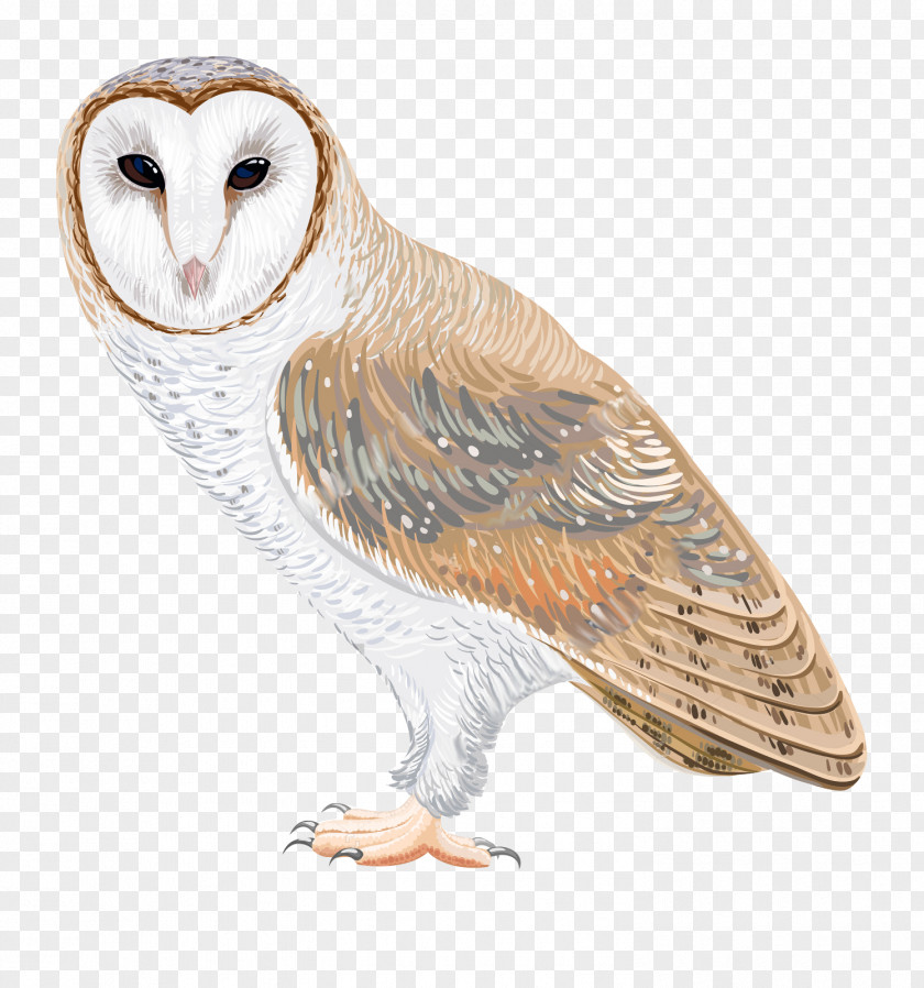 Watercolor Owl Barn Drawing Clip Art PNG