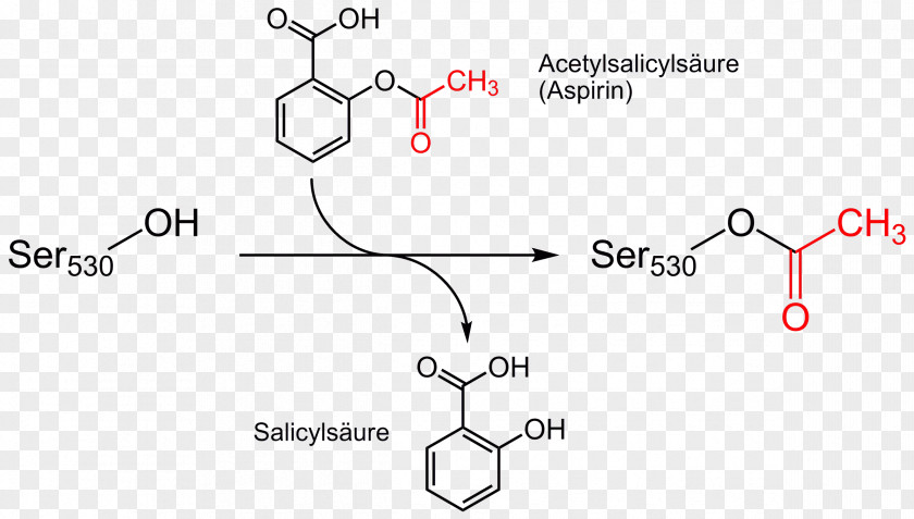 Aspirin Mechanism Of Action Acetylation Arachidonic Acid Salicylic PNG