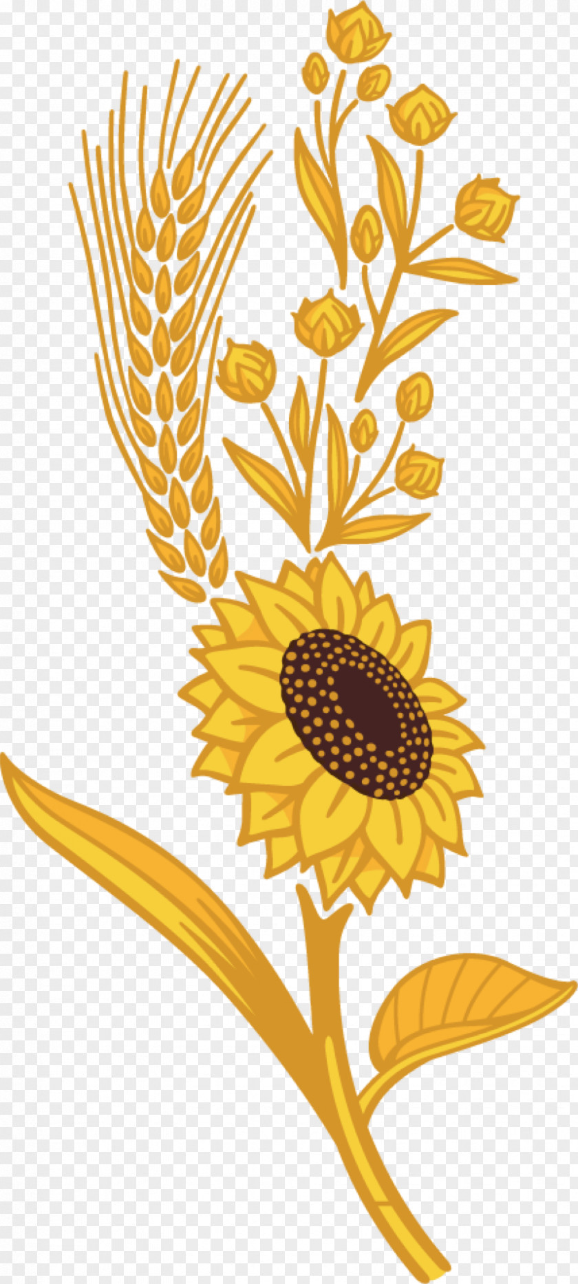 Bagel Khorasan Wheat Triticale Sunflower Seed Whole Grain PNG