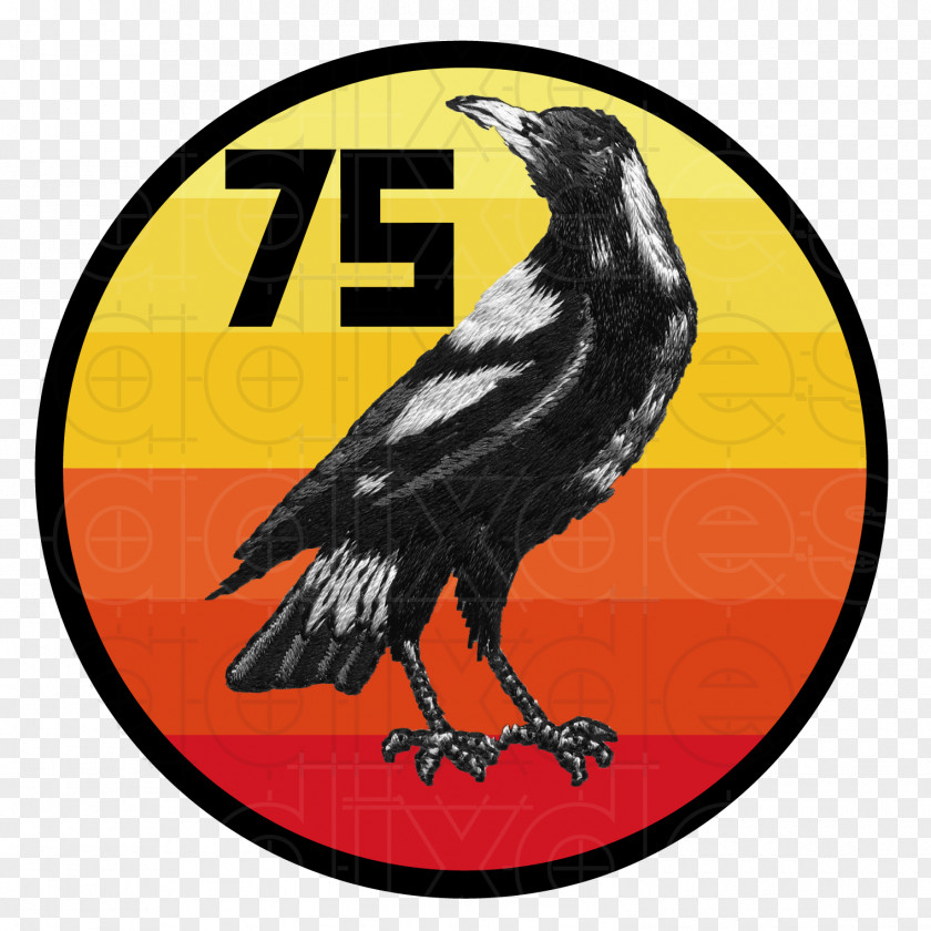 Beak PNG Beak, No 75 Squadron Raaf clipart PNG