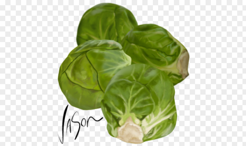 Brussels Sprout Vegetarian Cuisine Collard Greens Capitata Group Spring PNG