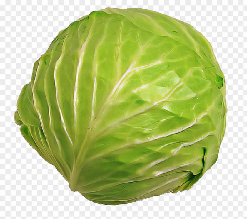 Lettuce Food Cabbage Iceburg Vegetable Wild Savoy PNG