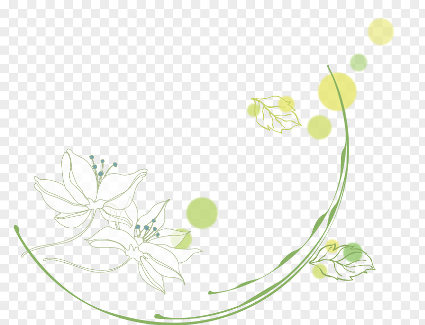 Line Floral Design Butterfly Petal Leaf PNG