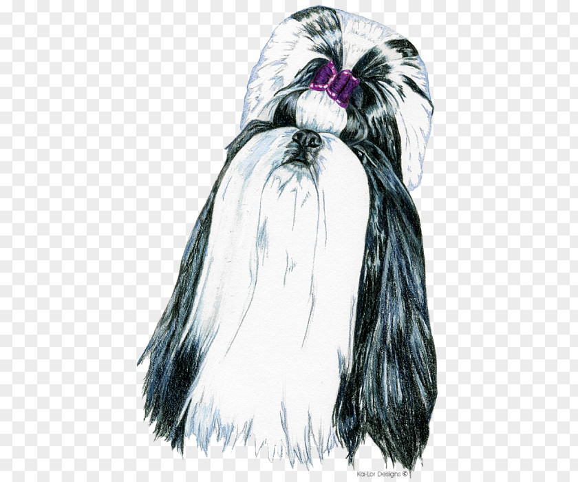 Shih Tzu Dog Breed Affenpinscher Drawing Fur PNG
