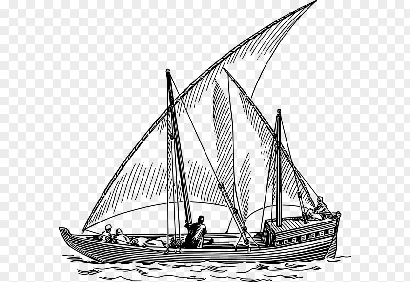 Shrimp Vector Sailboat Sailing Ship Clip Art PNG