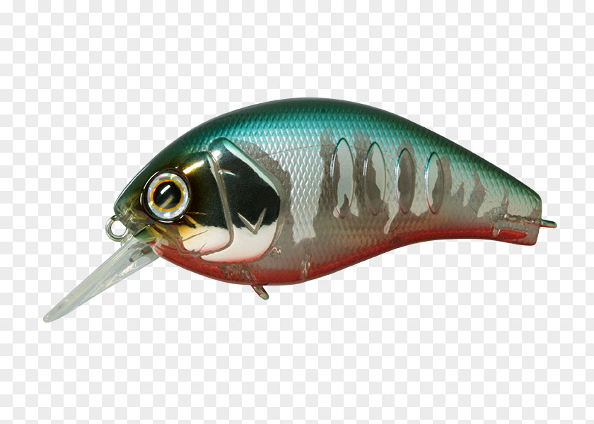 Spoon Lure Korrigan Depth Oily Fish PNG