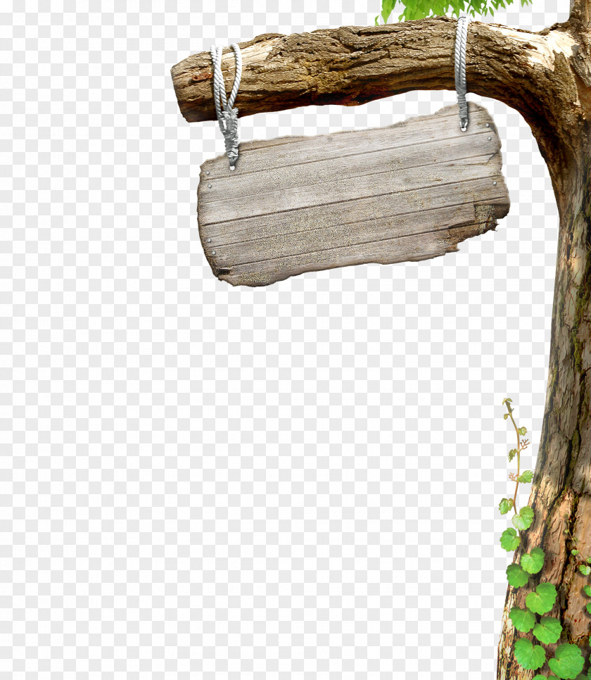 Tree Download PNG