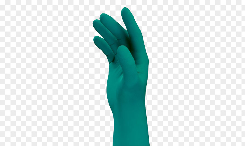 Allpurpose Lightweight Individual Carrying Equipme Medical Glove Nitrile Finger Hand Model PNG