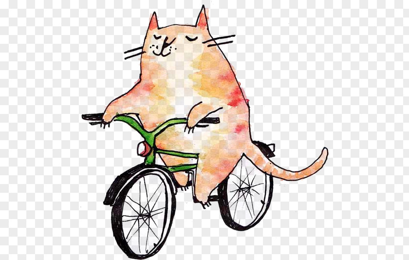 Cat Bicycle Illustration Cycling Mountain Bike PNG
