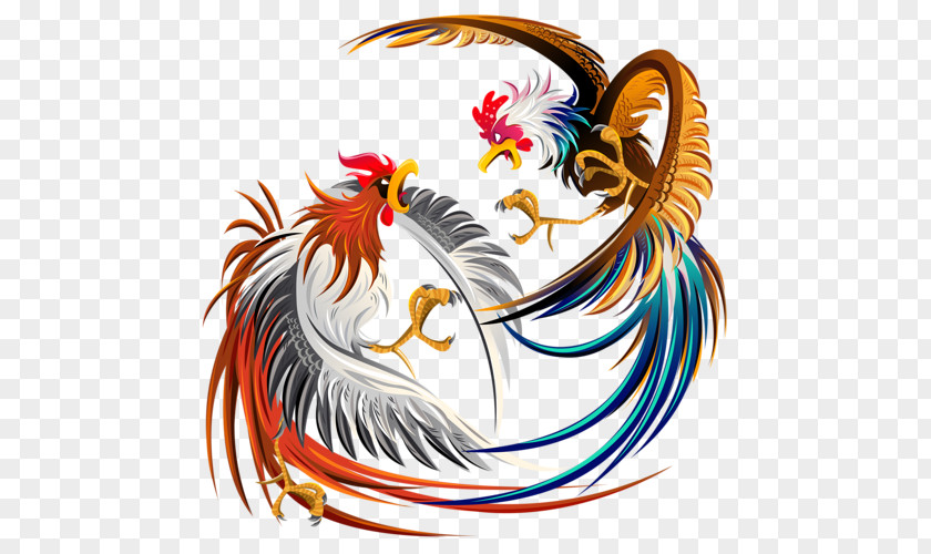 Cock Fight Cockfight Rooster Chicken Clip Art PNG