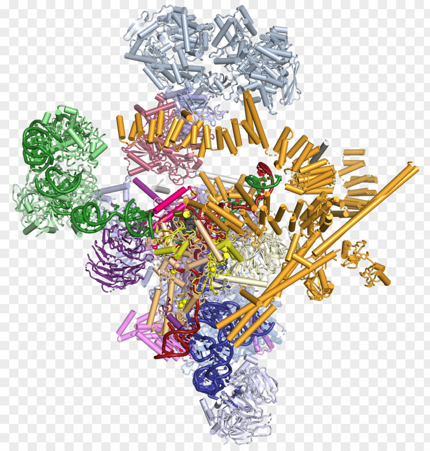 Laboratory Of Molecular Biology Branching Christmas Ornament Exon PNG