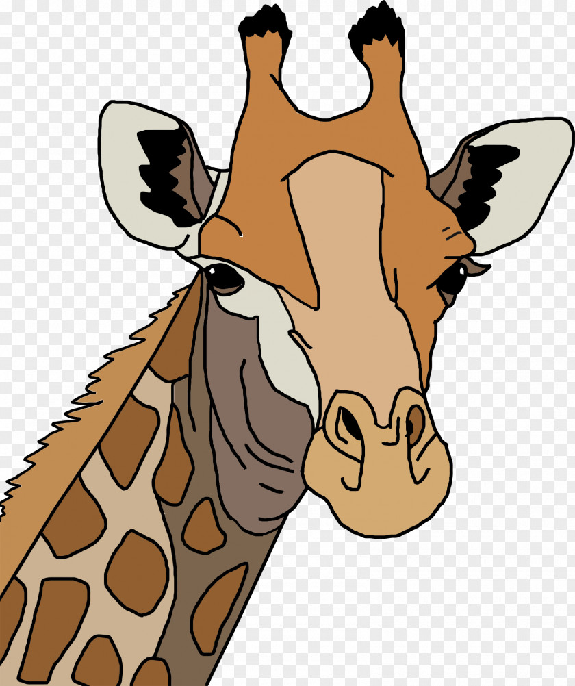 Leopard Northern Giraffe Clip Art PNG