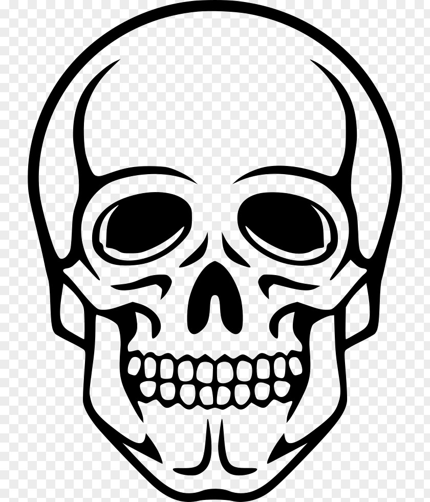 Skull Human Symbolism Skeleton Clip Art PNG