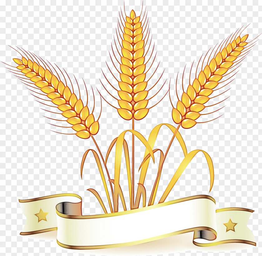 Wheat Food Grain PNG