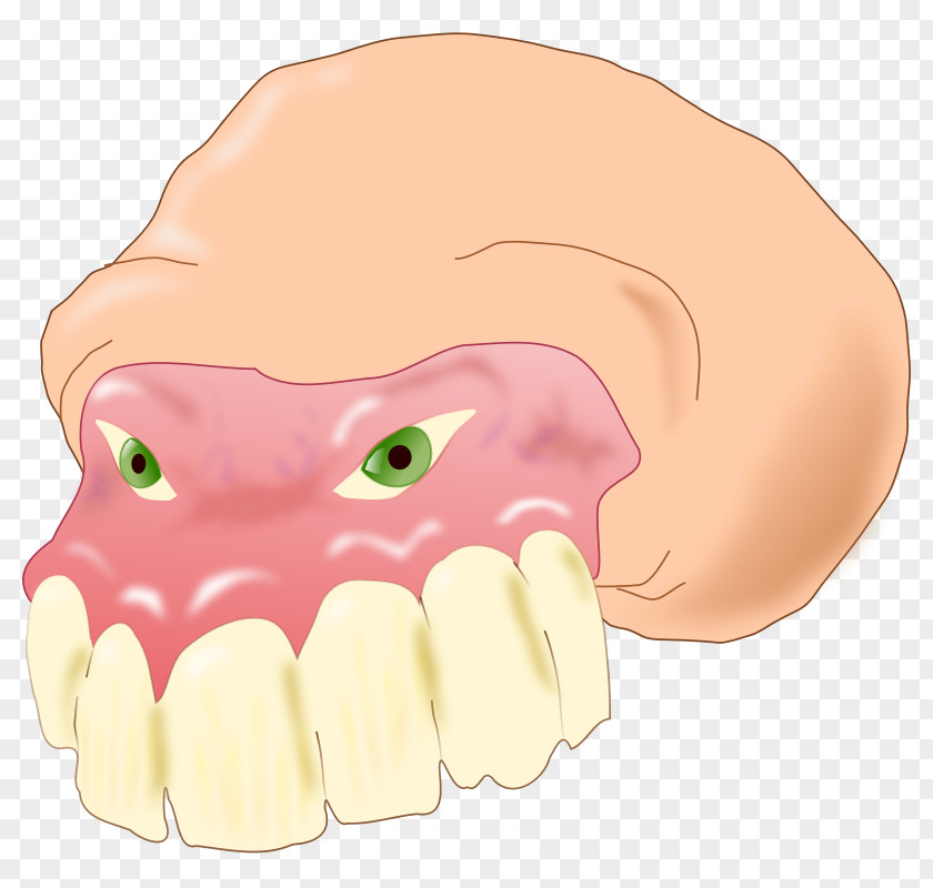 Flash Animation Images Dentistry Clip Art PNG