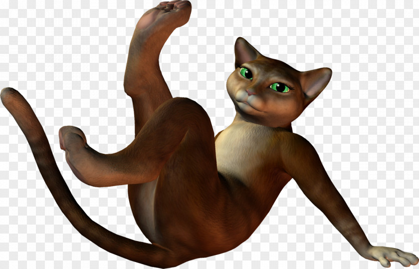 Kitten Cat Tail Animal Animated Cartoon PNG