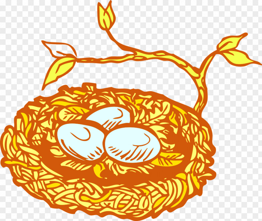 Nest Bird PNG