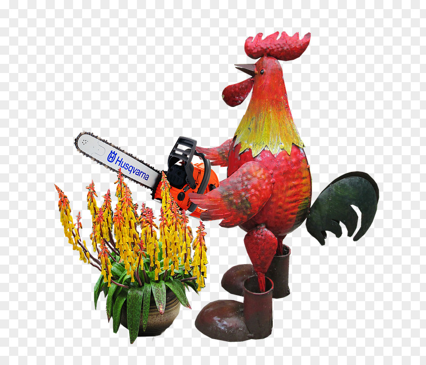 Parrot Plant Bird PNG