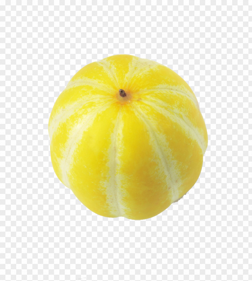 Shampoo Photography Citron Lemon Citrus Junos Grapefruit Vegetarian Cuisine PNG