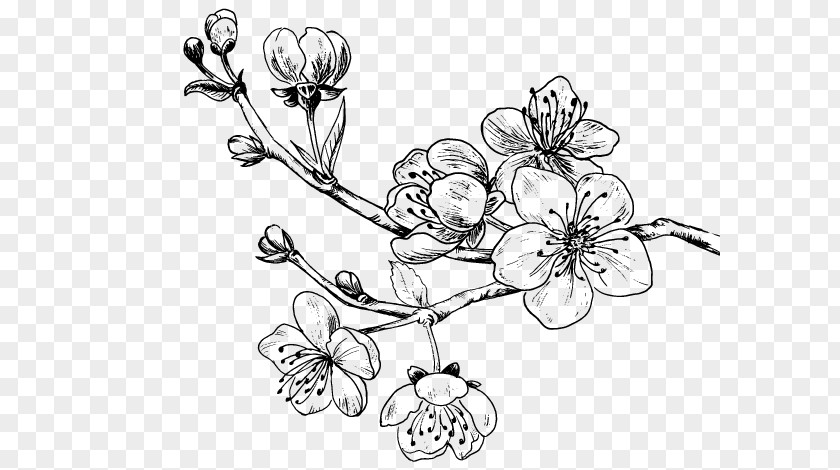 Tree Tattoo Drawing Cherry Blossom Sweet PNG